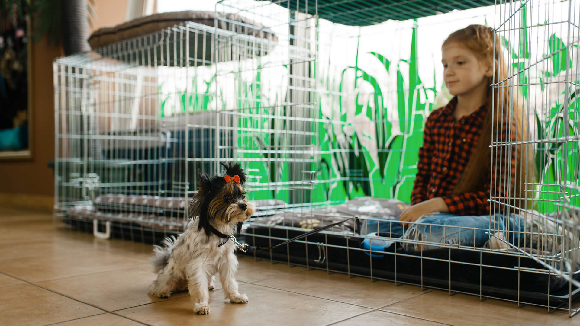 Crate Training: A Practical Guide for Effective Crate Training