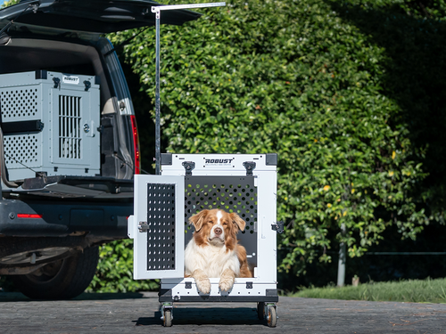 Dog Crate for Grooming