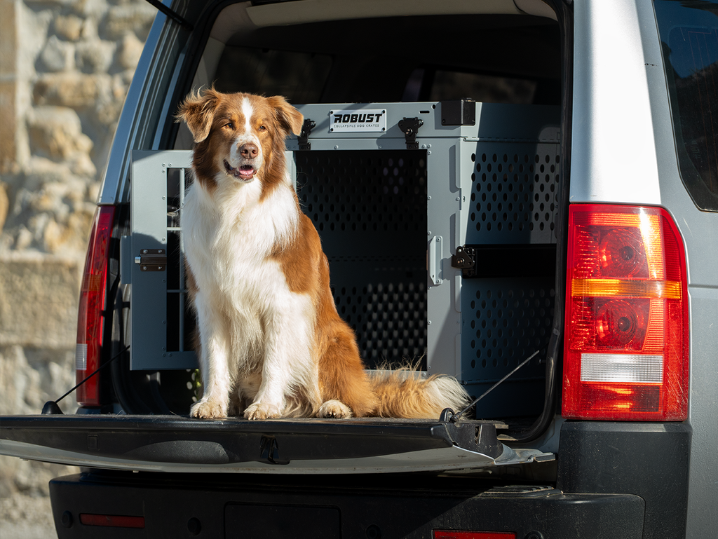 Dog Crate for Travel