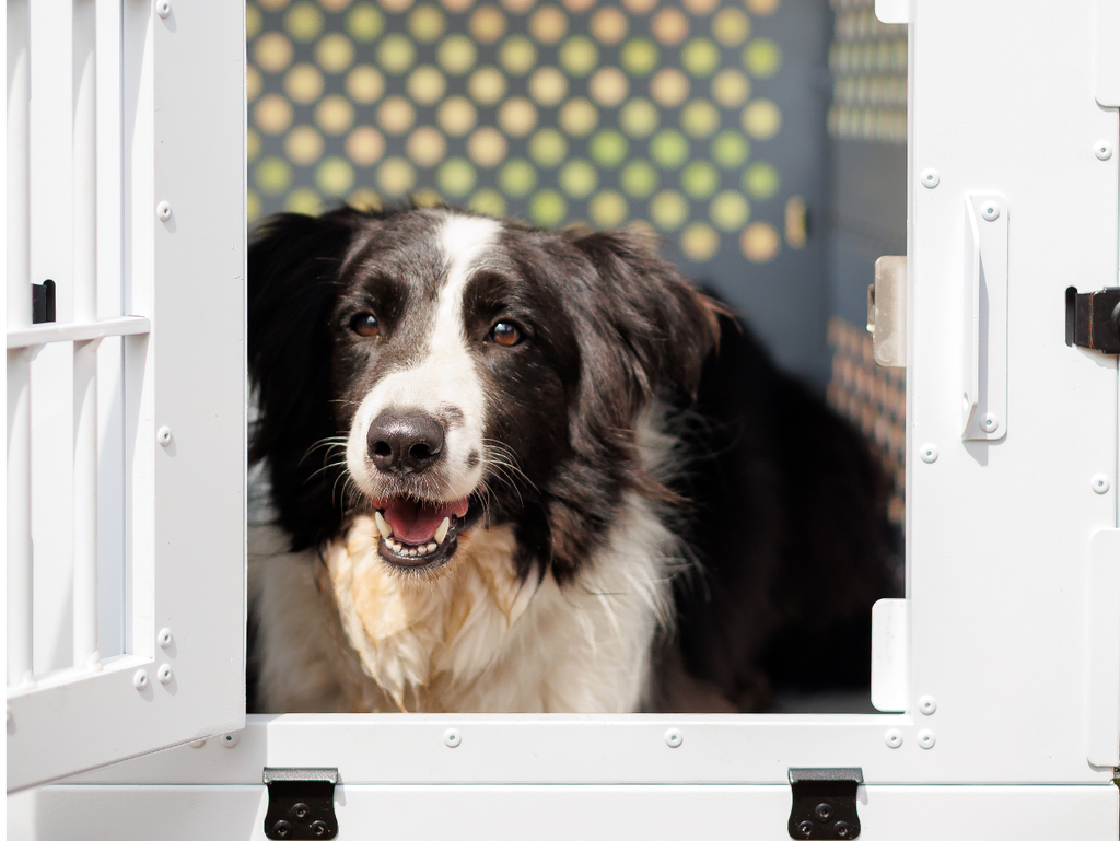Robust Crate