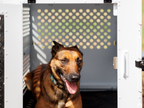 Anti-stress Door