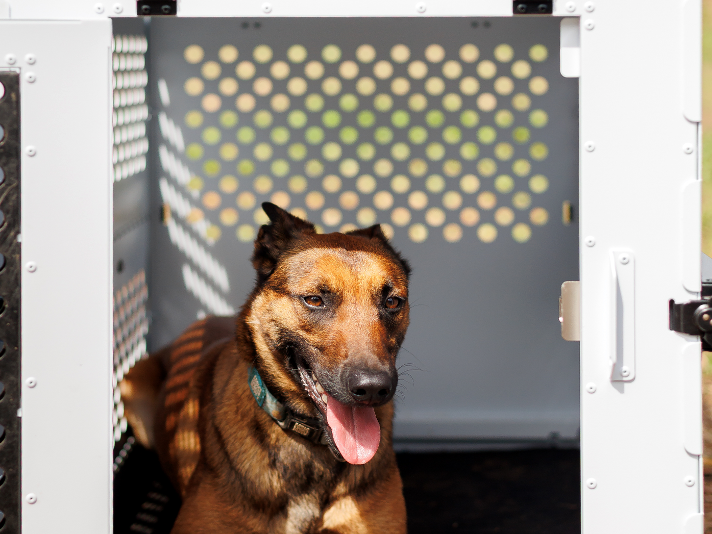 Anti-stress Door