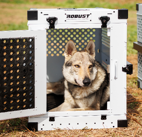 Working dog resting calmly inside a white Robust crate with the Anti-Stress Door.
