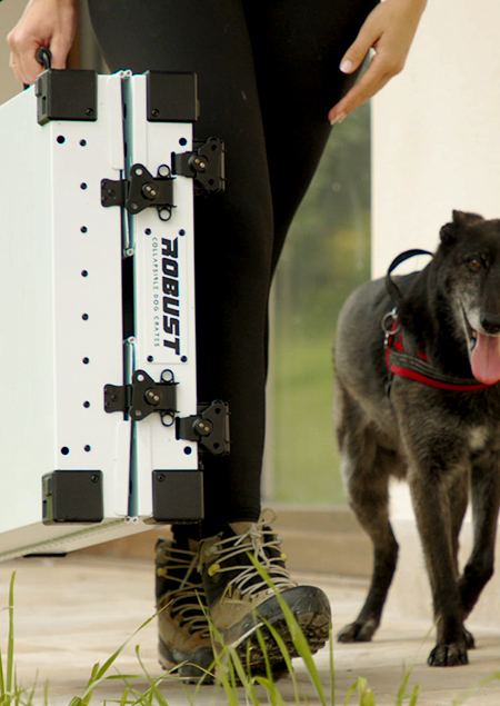Robust Rio Dog ROBUST | The Strongest Collapsible Dog Crate on the Market – Robust Europe