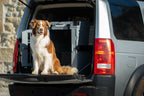 Woman and brown and white dog sitting beside a grey Robust collapsible dog crate in the open boot of a car
