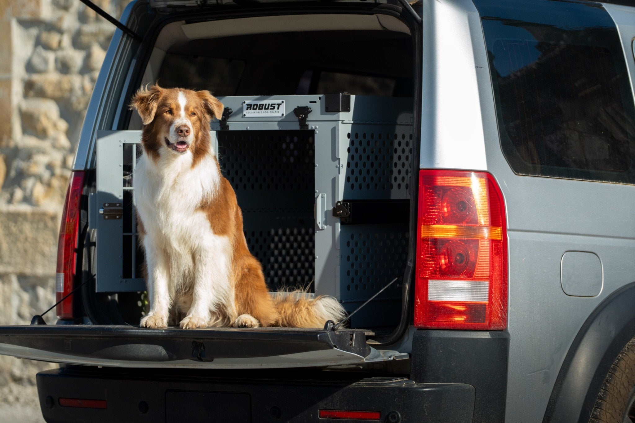 Woman and brown and white dog sitting beside a grey Robust collapsible dog crate in the open boot of a car