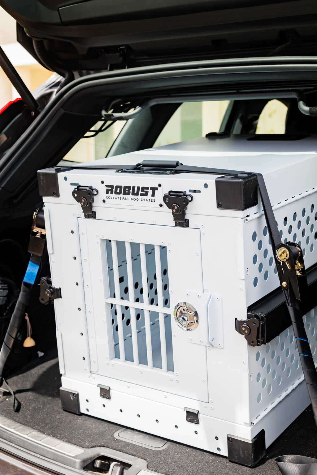 White Robust collapsible dog crate secured with straps in the boot of a car.