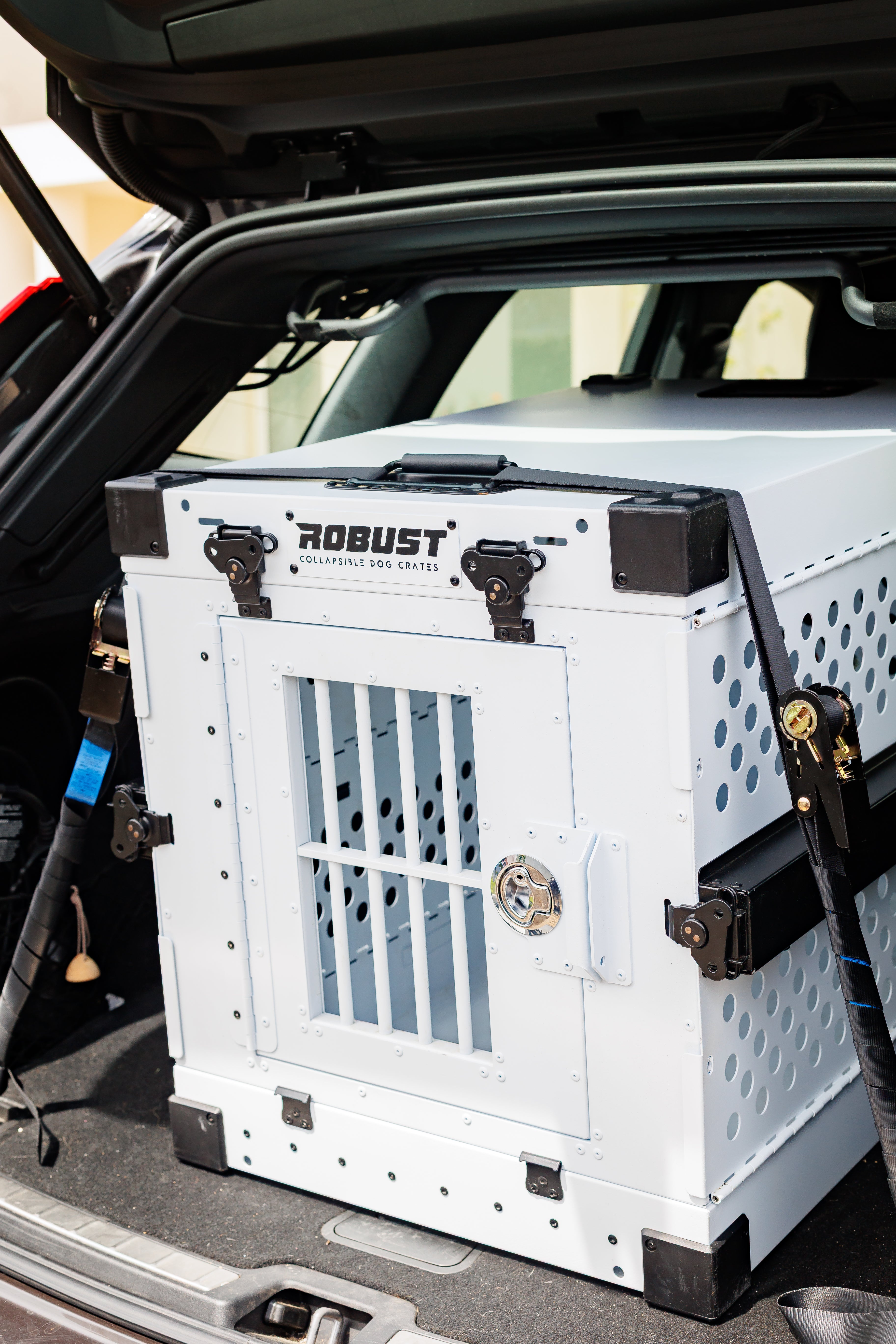 White Robust collapsible dog crate secured with straps in the boot of a car.