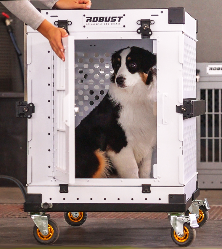 Wheel Cart for Dog Crate